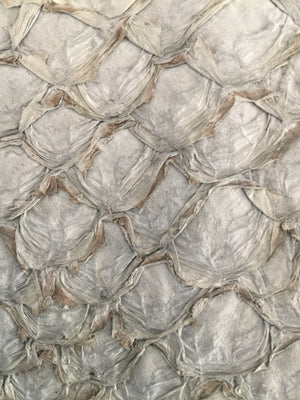 Lily Purse featuring silver grey ruffled barramundi leather